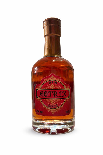 Gin Ginja